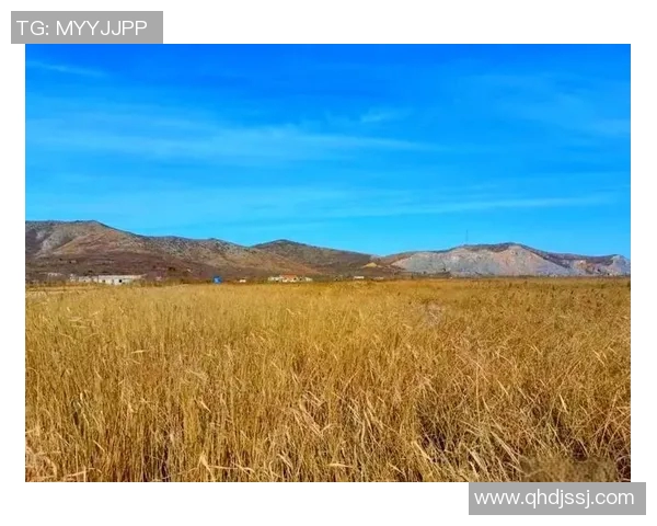 龙清泉的神秘传说与自然之美探秘之旅