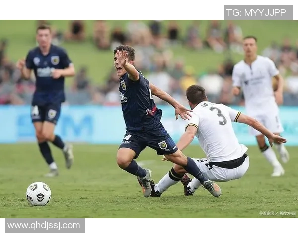 惠灵顿凤凰迎战中部海岸水手期待精彩对决与激烈竞争