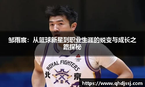 evo视讯手机最新版本