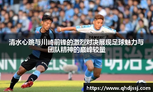 evo视讯手机最新版本